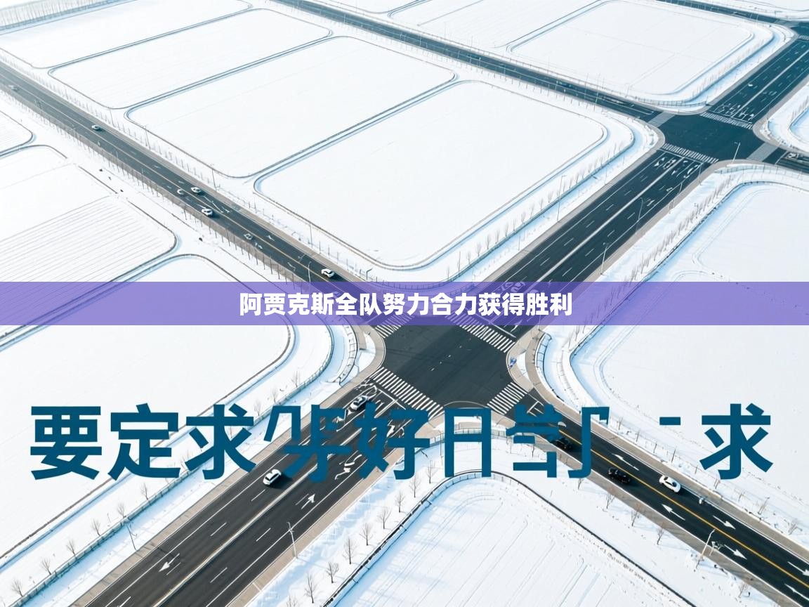 阿贾克斯全队努力合力获得胜利