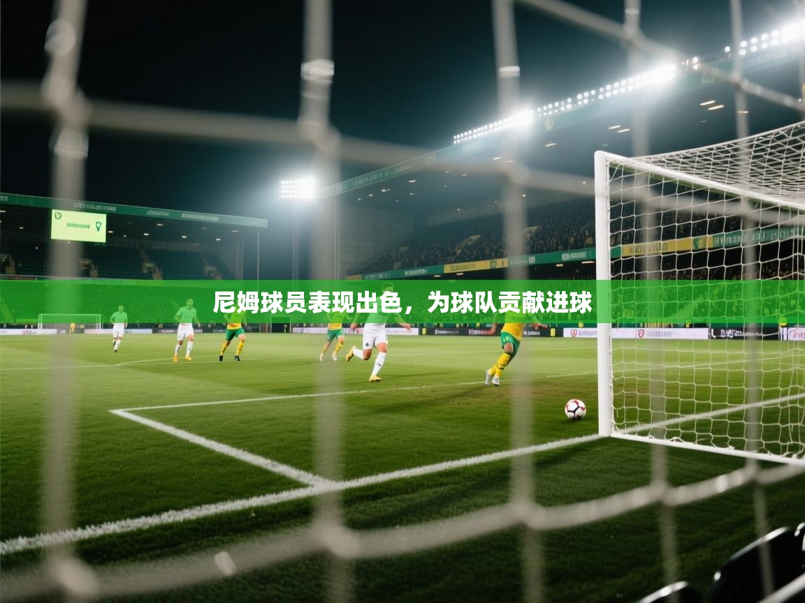 尼姆球员表现出色，为球队贡献进球  第2张