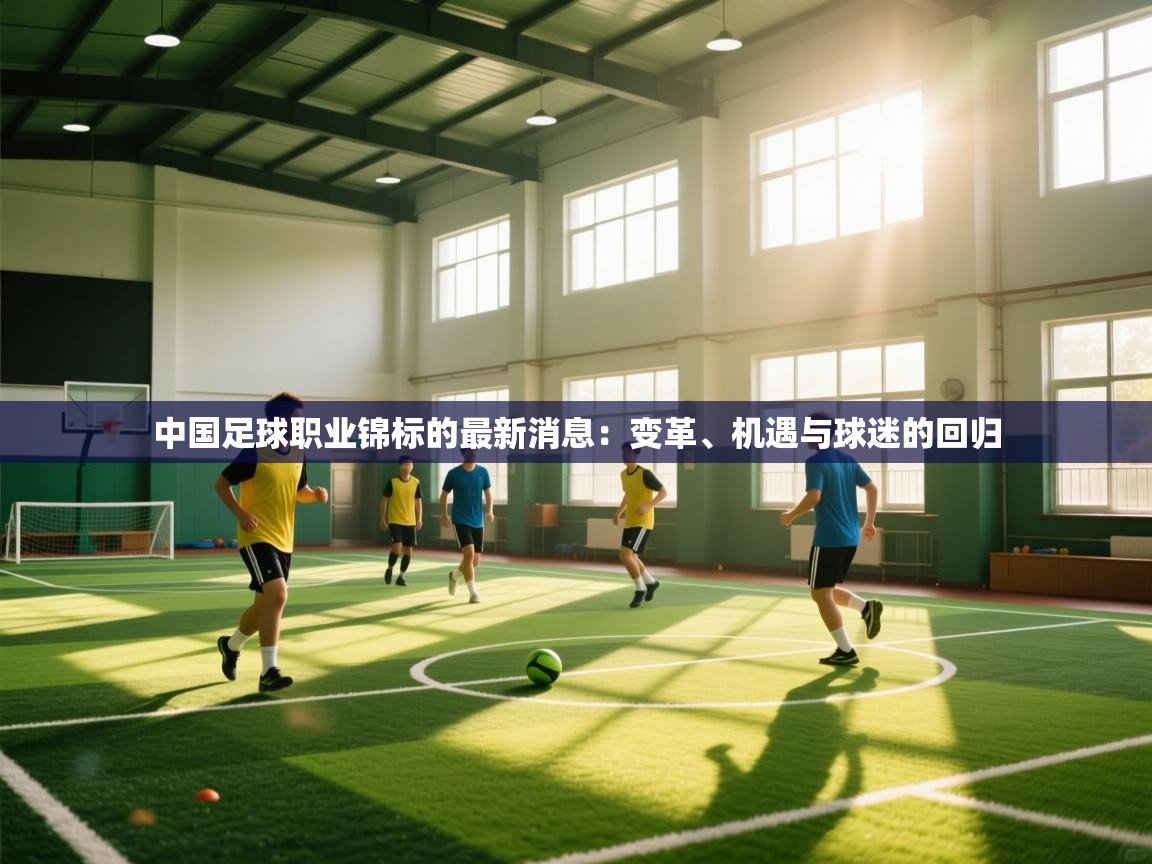 中国足球职业锦标的最新消息:变革、机遇与球迷的回归 第1张