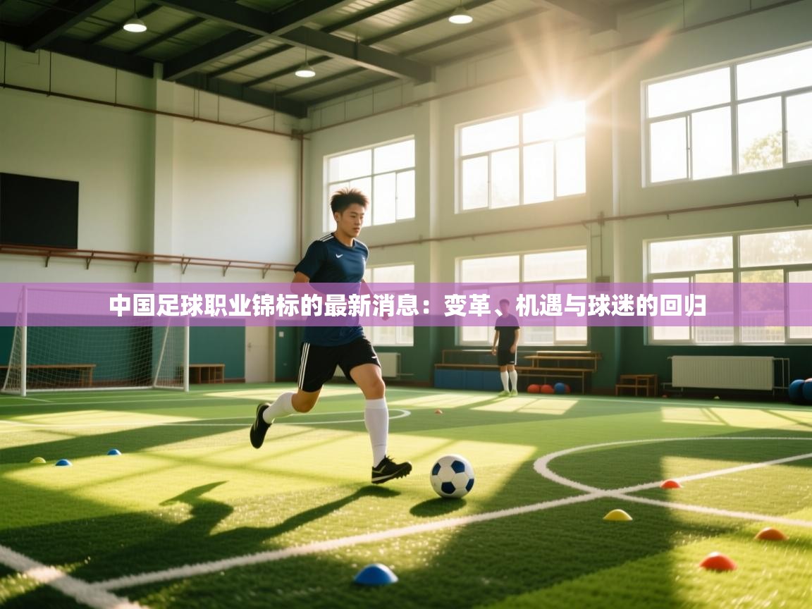 中国足球职业锦标的最新消息:变革、机遇与球迷的回归 第2张