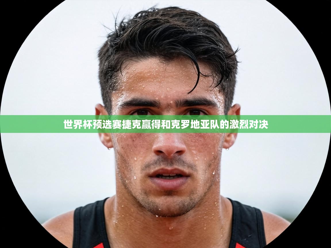 世界杯预选赛捷克赢得和克罗地亚队的激烈对决 第2张