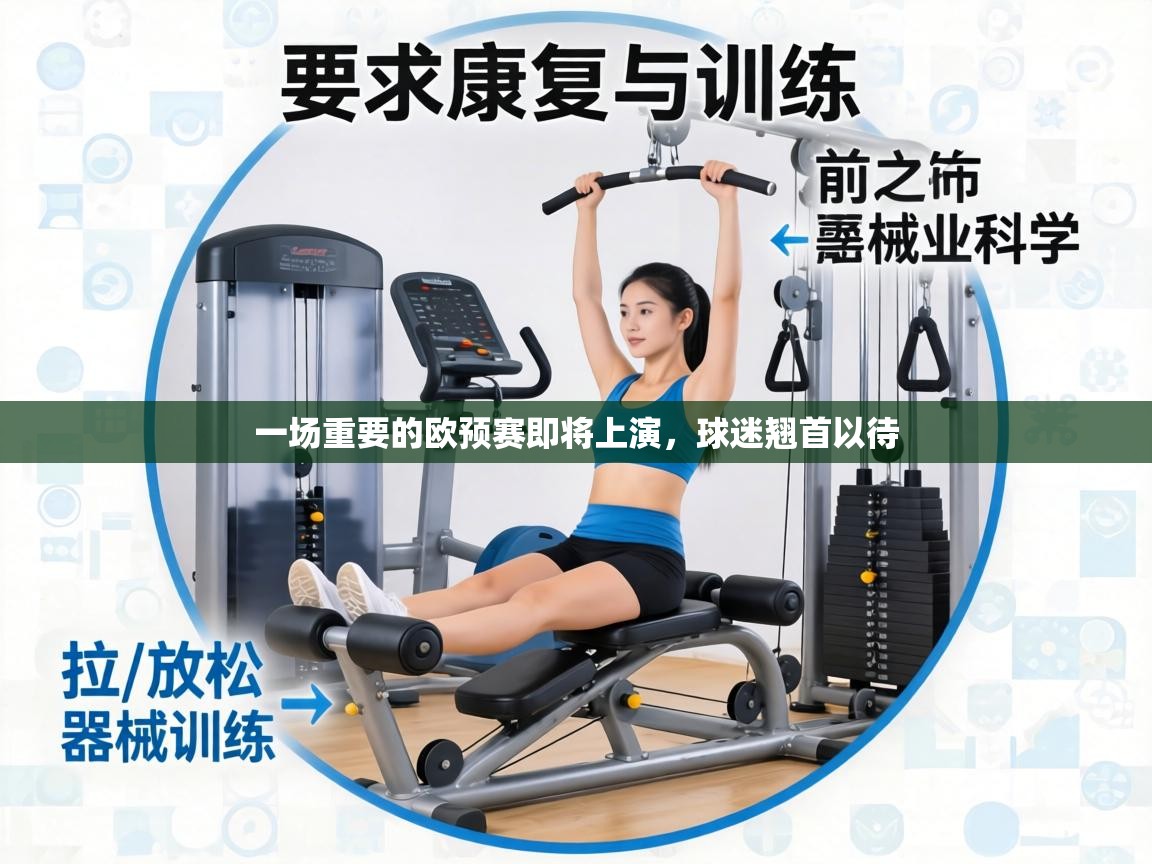 一场重要的欧预赛即将上演,球迷翘首以待 第1张