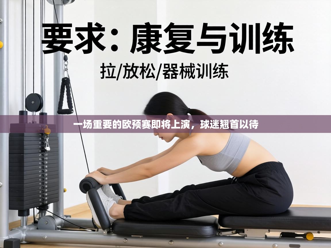 一场重要的欧预赛即将上演,球迷翘首以待 第2张